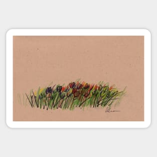 Tulips - original drawing Sticker